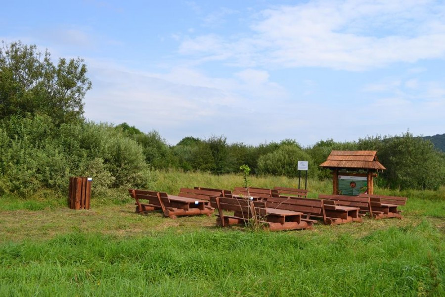 Edukacyjny spacer. Tu zobaczysz przepiórki, orliki i sokoły