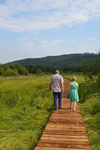 Edukacyjny spacer. Tu zobaczysz przepiórki, orliki i sokoły