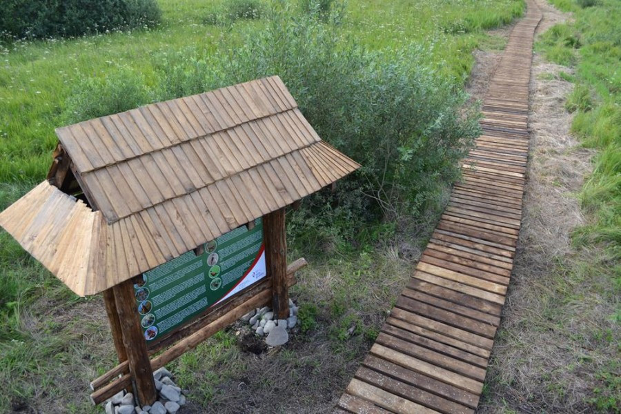 Edukacyjny spacer. Tu zobaczysz przepiórki, orliki i sokoły