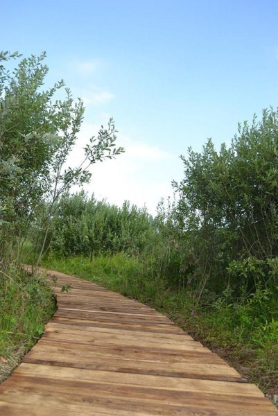 Edukacyjny spacer. Tu zobaczysz przepiórki, orliki i sokoły