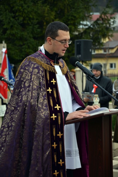 Święto Niepodległości w Sanoku [FOTORELACJA]