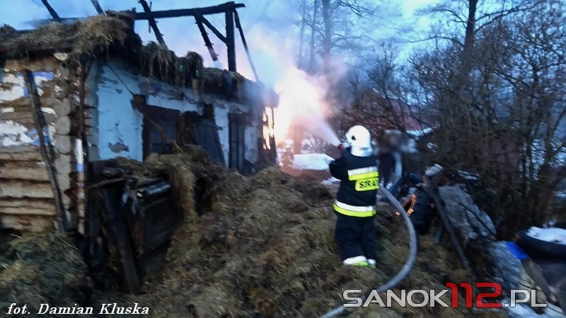 Spłonął budynek gospodarczy. W środku były zwierzęta [ZDJĘCIA]
