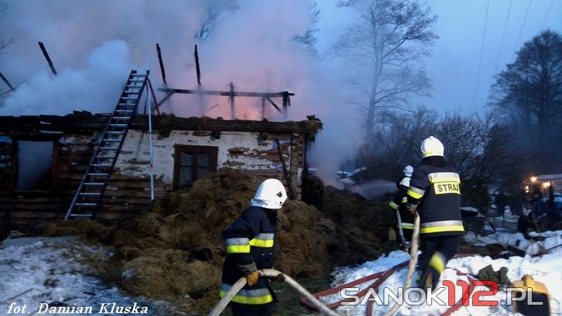 Spłonął budynek gospodarczy. W środku były zwierzęta [ZDJĘCIA]