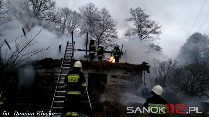 Spłonął budynek gospodarczy. W środku były zwierzęta [ZDJĘCIA]