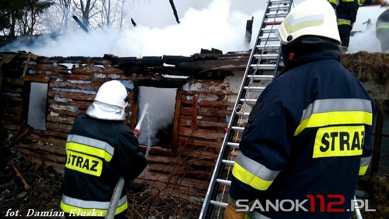 Spłonął budynek gospodarczy. W środku były zwierzęta [ZDJĘCIA]