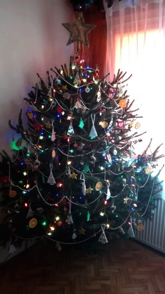 Tak wyglądają Wasze choinki [KONKURS, ZDJĘCIA]