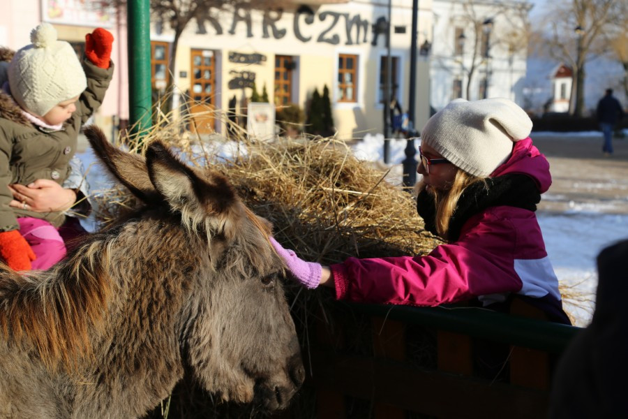 Tak wyglądała miejska Wigilia na rynku [ZDJĘCIA]