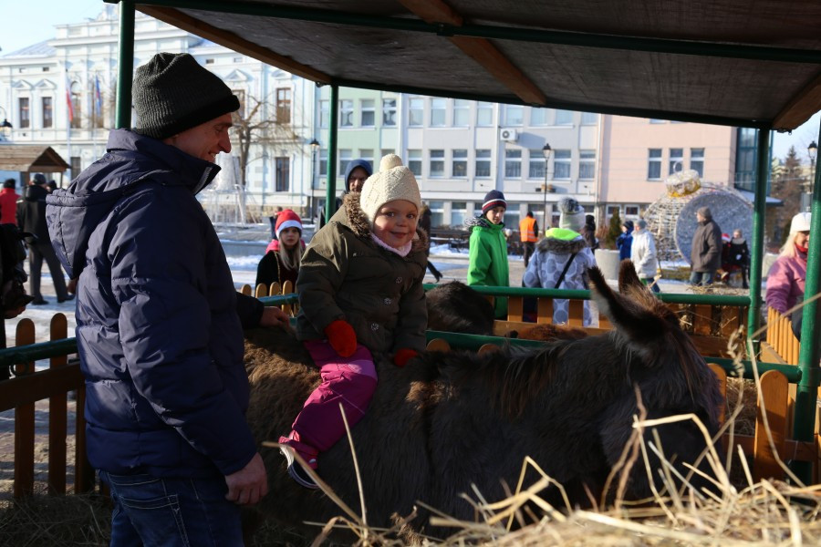 Tak wyglądała miejska Wigilia na rynku [ZDJĘCIA]