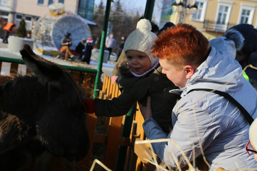 Tak wyglądała miejska Wigilia na rynku [ZDJĘCIA]