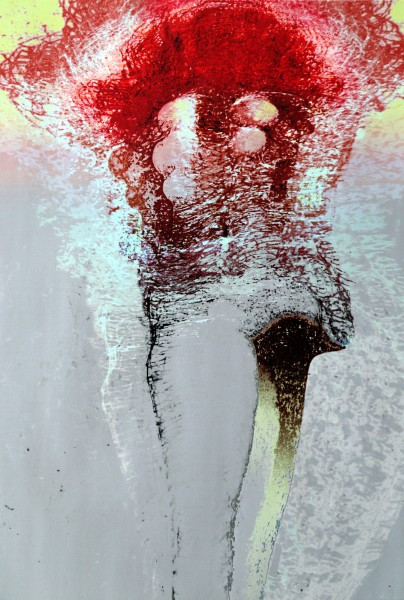 WOŚP 2017. Licytuj i wspieraj Orkiestrę! [AUKCJE, ZDJĘCIA]