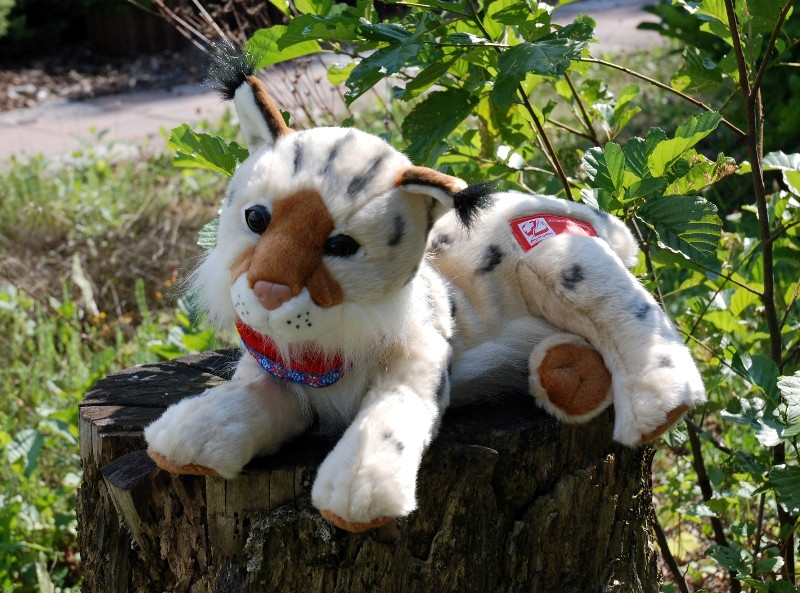 WOŚP 2017. Licytuj i wspieraj Orkiestrę! [AUKCJE, ZDJĘCIA]