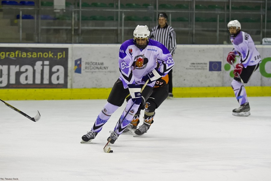 WOŚP 2017. Hokejowe emocje wróciły na sanocki lód. Koguty oskubały Niedźwiedzie [ZOBACZ ZDJĘCIA]