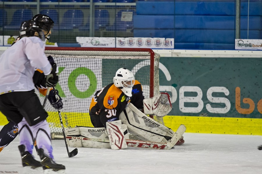 WOŚP 2017. Hokejowe emocje wróciły na sanocki lód. Koguty oskubały Niedźwiedzie [ZOBACZ ZDJĘCIA]