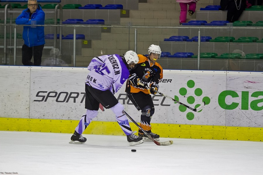 WOŚP 2017. Hokejowe emocje wróciły na sanocki lód. Koguty oskubały Niedźwiedzie [ZOBACZ ZDJĘCIA]