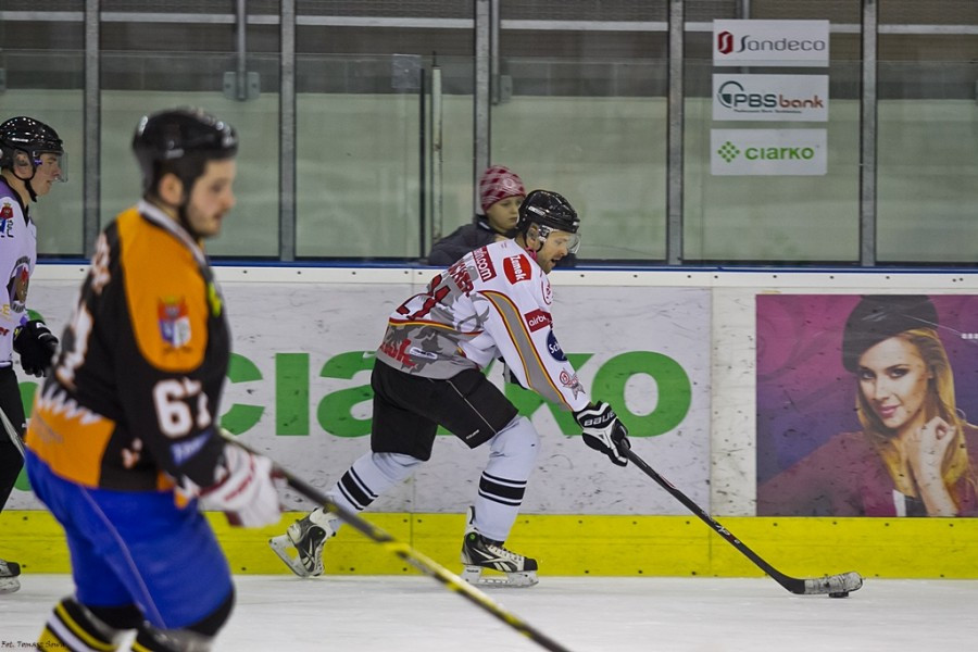WOŚP 2017. Hokejowe emocje wróciły na sanocki lód. Koguty oskubały Niedźwiedzie [ZOBACZ ZDJĘCIA]