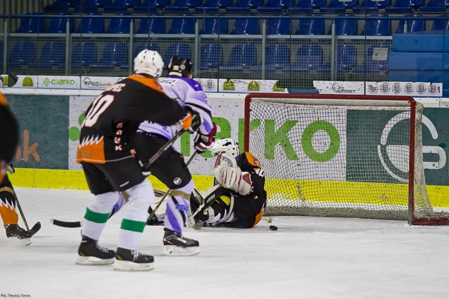 WOŚP 2017. Hokejowe emocje wróciły na sanocki lód. Koguty oskubały Niedźwiedzie [ZOBACZ ZDJĘCIA]