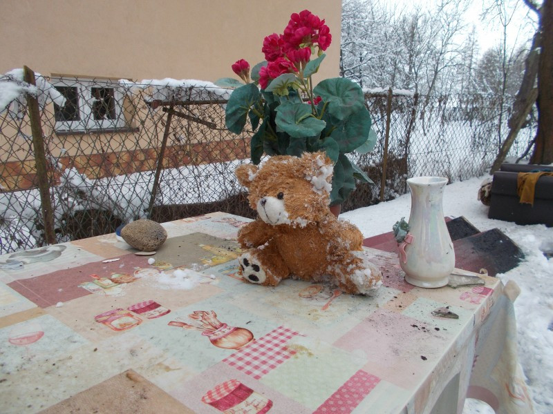 Starsze małżeństwo straciło dorobek życia w pożarze. Pilnie potrzebna pomoc