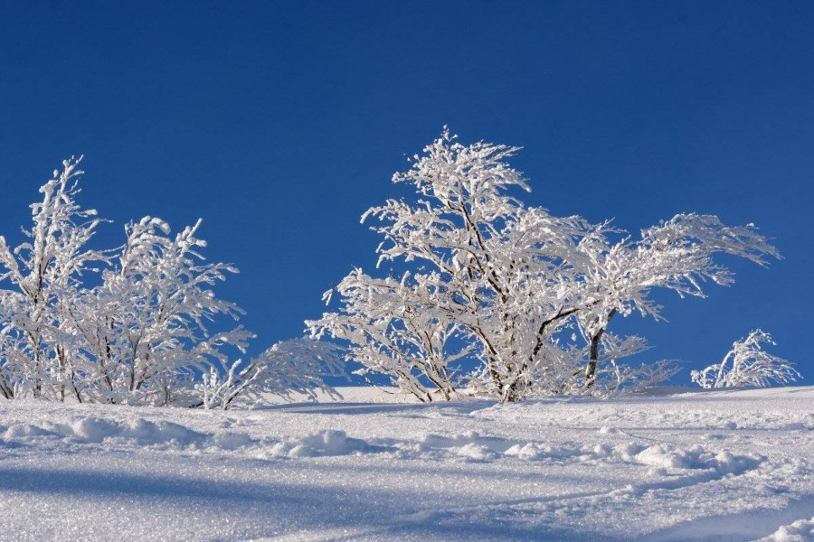 Bieszczady zimą w obiektywie Marka Kusiaka [ZDJĘCIA]