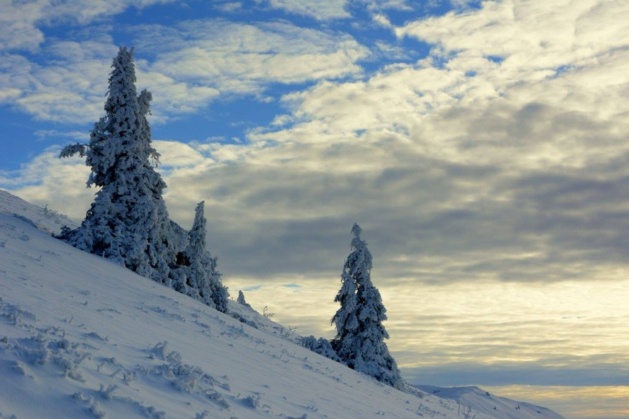 Bieszczady zimą w obiektywie Marka Kusiaka [ZDJĘCIA]