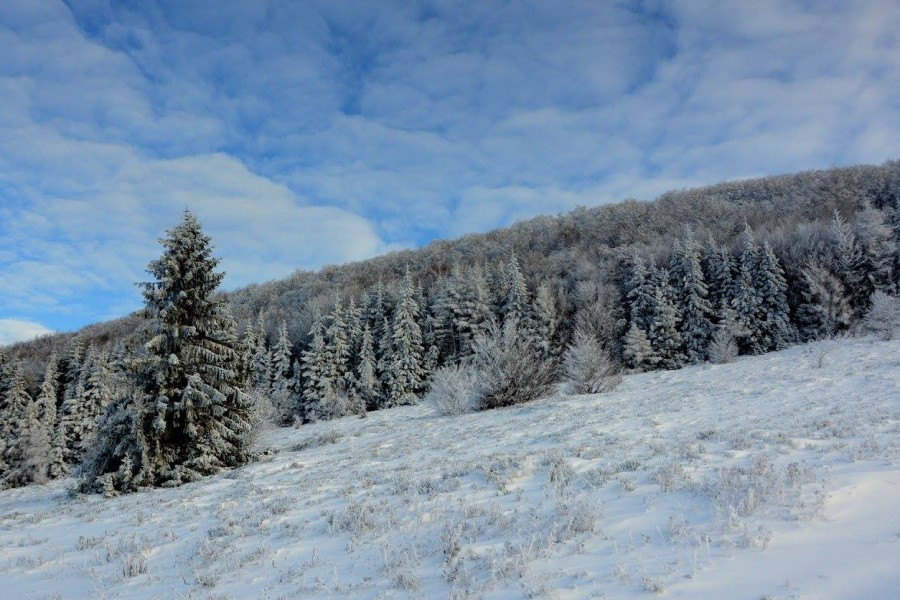Bieszczady zimą w obiektywie Marka Kusiaka [ZDJĘCIA]
