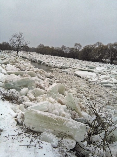Zator na Osławie rośnie [ZOBACZ ZDJĘCIA]