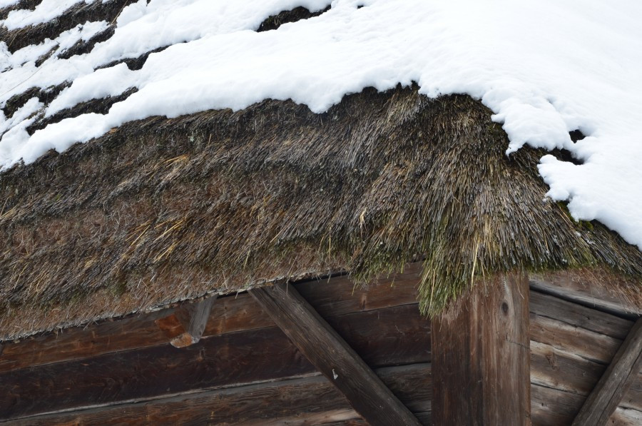 Rekordowy rok sanockiego skansenu