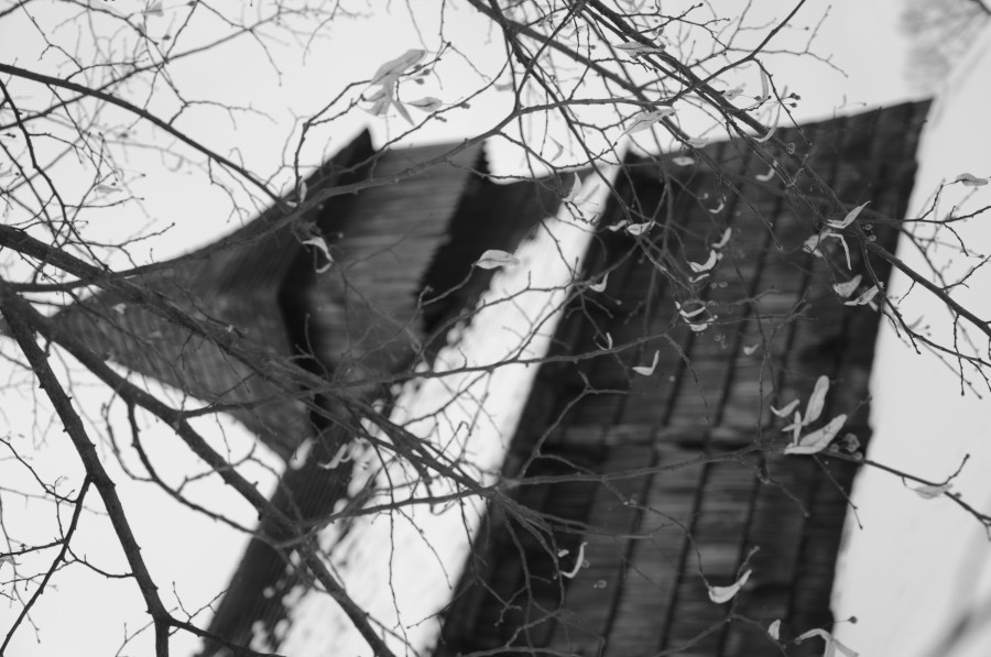 Rekordowy rok sanockiego skansenu