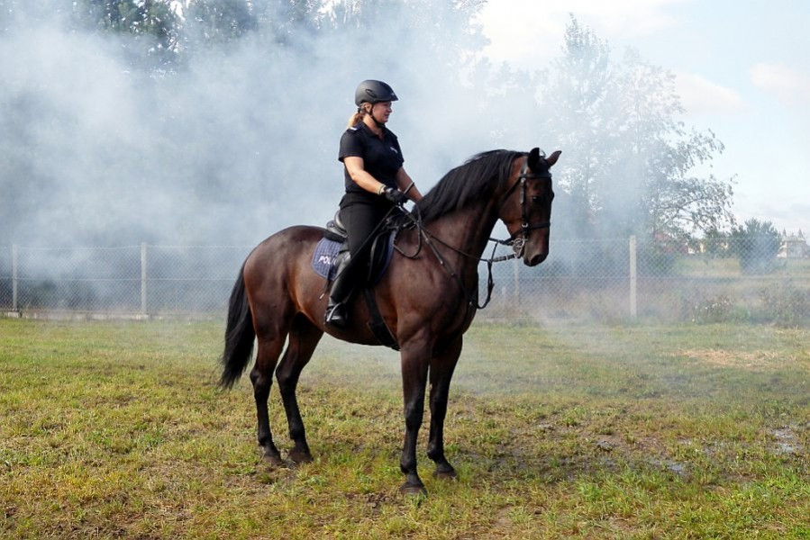 Być kobietą w policji