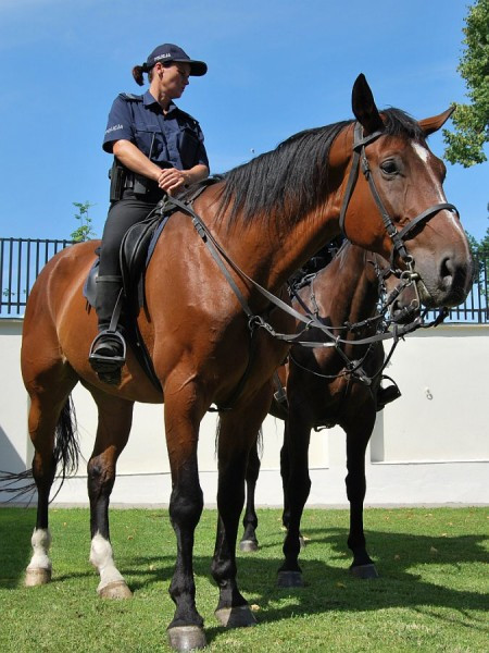Być kobietą w policji
