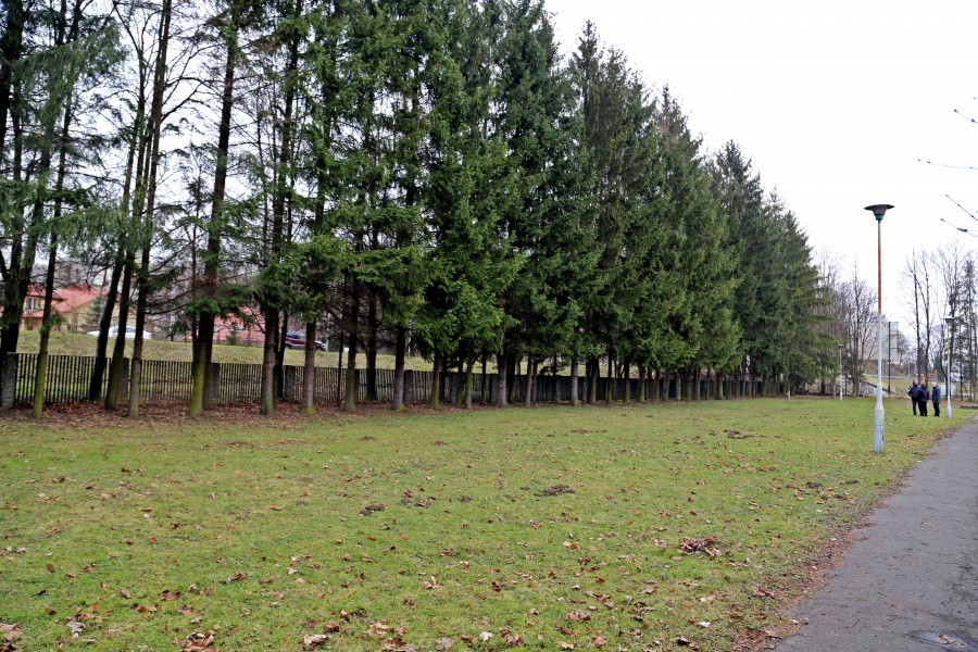 Wykonawca przejął plac budowy. Rusza budowa sanockich basenów [ZDJĘCIA]