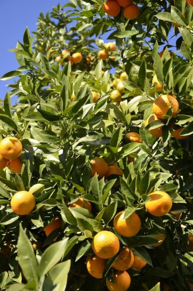 Czy w 4 miesiące można zakochać się w Portugalii?