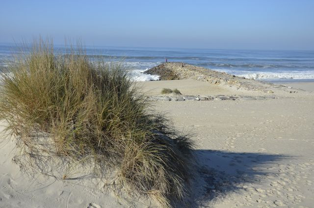 Czy w 4 miesiące można zakochać się w Portugalii?