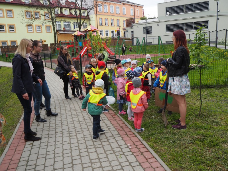 Przedszkolaki sadzą drzewa