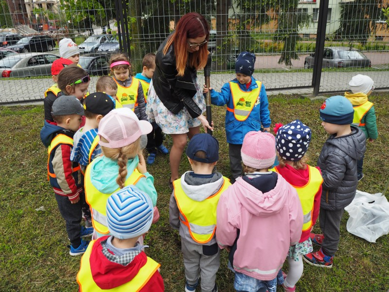 Przedszkolaki sadzą drzewa