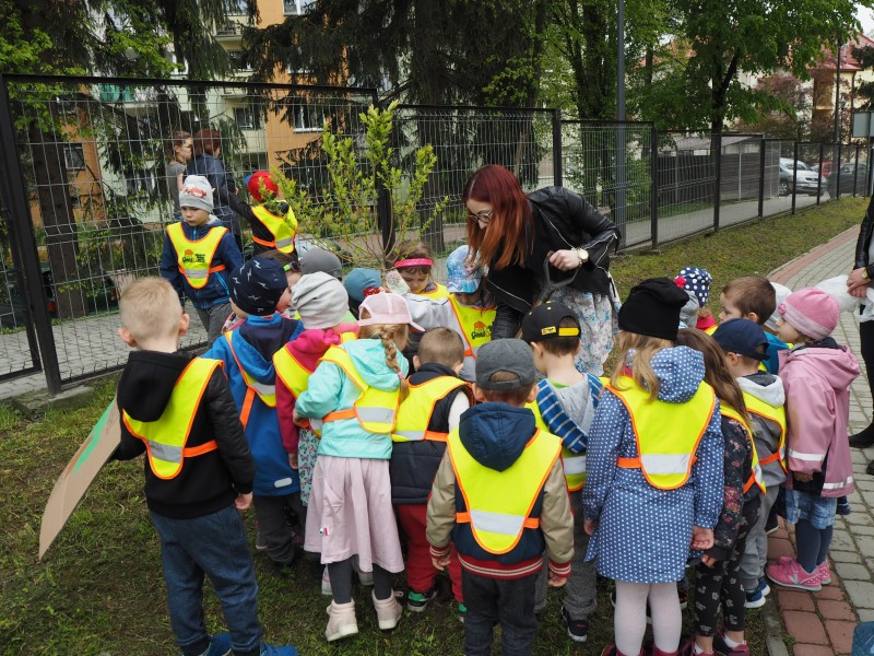 Przedszkolaki sadzą drzewa