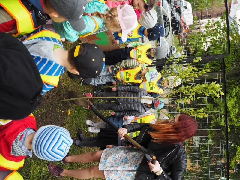 Przedszkolaki sadzą drzewa