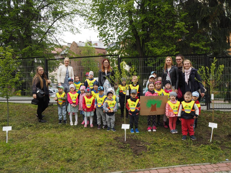 Przedszkolaki sadzą drzewa