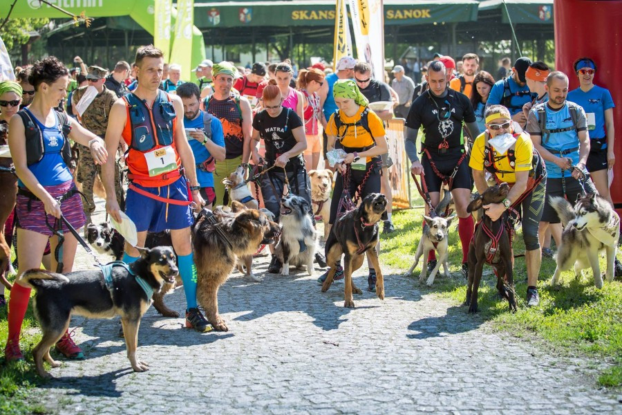 Miłośnicy biegania z psami ścigali się w Sanoku [ZDJĘCIA]
