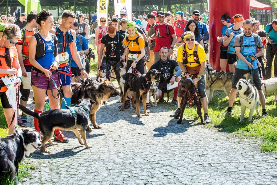 Miłośnicy biegania z psami ścigali się w Sanoku [ZDJĘCIA]