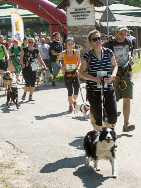 Miłośnicy biegania z psami ścigali się w Sanoku [ZDJĘCIA]