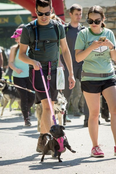 Miłośnicy biegania z psami ścigali się w Sanoku [ZDJĘCIA]