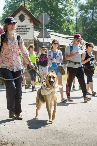 Miłośnicy biegania z psami ścigali się w Sanoku [ZDJĘCIA]