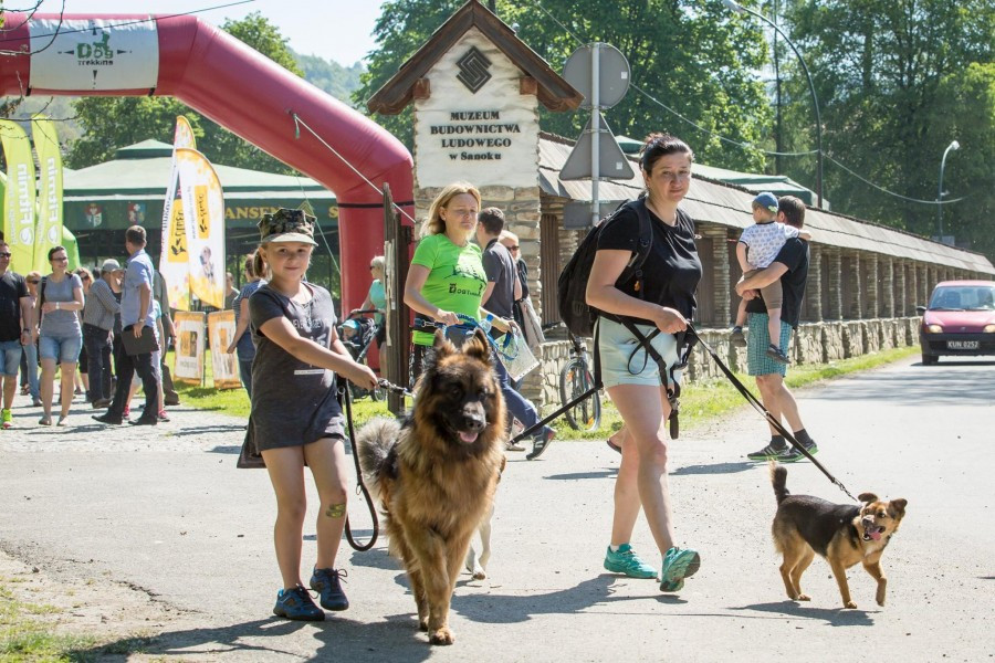 Miłośnicy biegania z psami ścigali się w Sanoku [ZDJĘCIA]