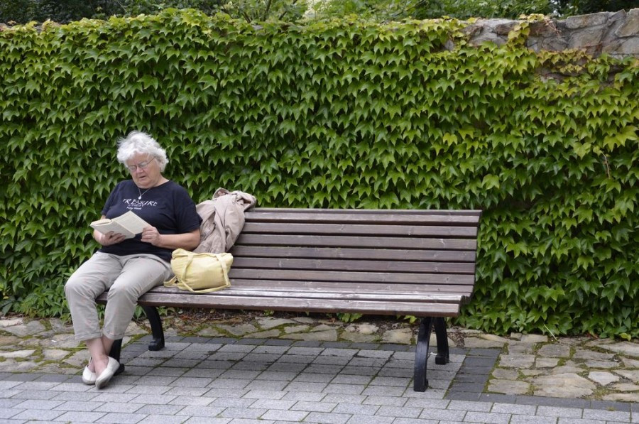 Bieszczadzkie lato z książką