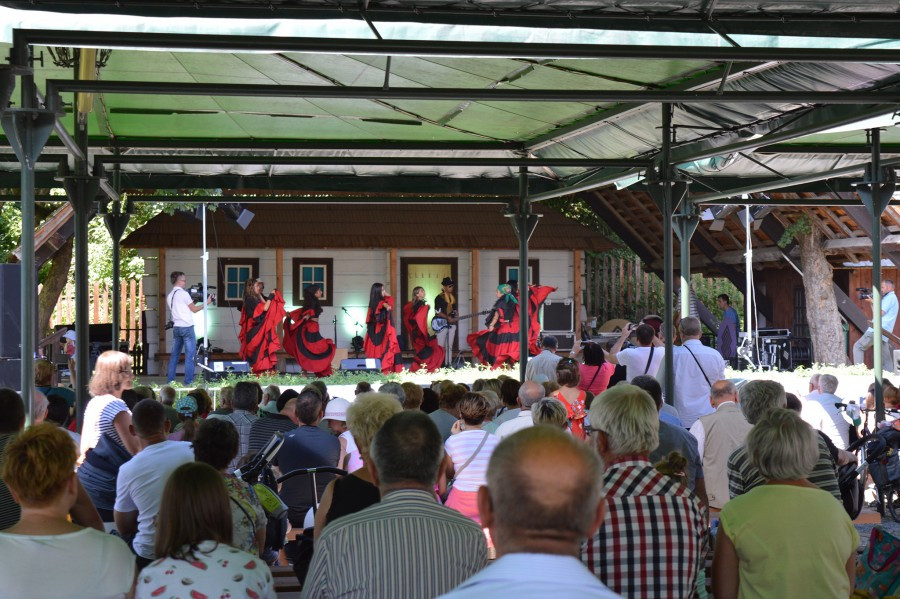 Sanok stolicą Karpat [FOTORELACJA]