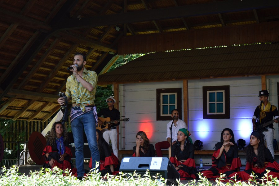 Sanok stolicą Karpat [FOTORELACJA]