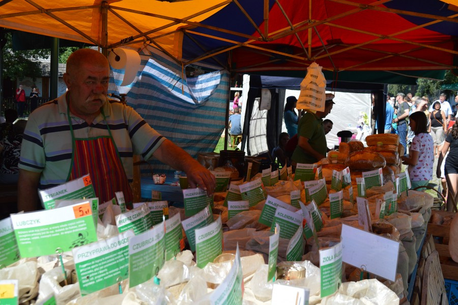 Sanok stolicą Karpat [FOTORELACJA]
