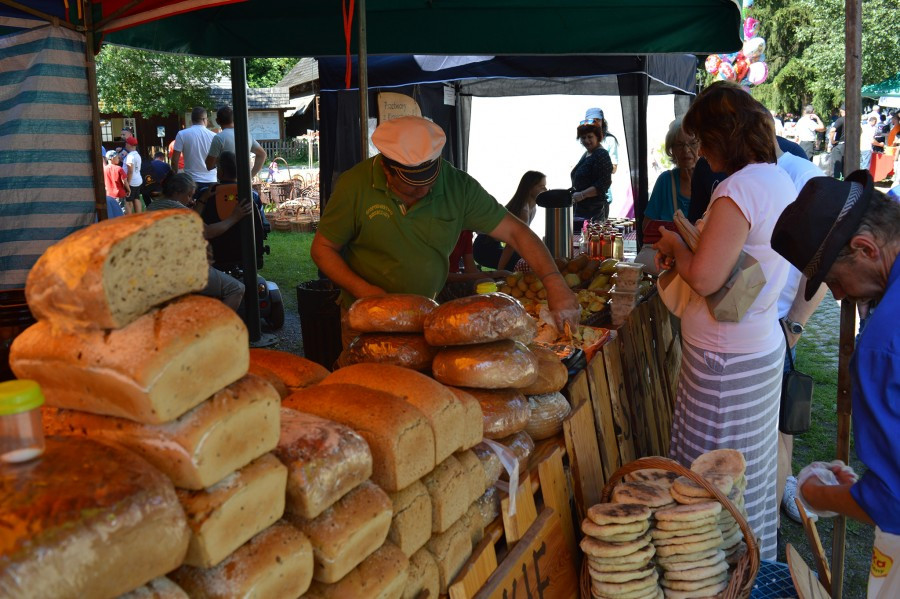 Sanok stolicą Karpat [FOTORELACJA]