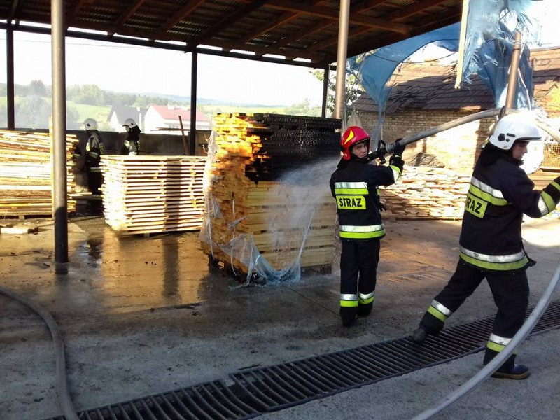 Pożar w zakładzie drzewnym [ZDJĘCIA]