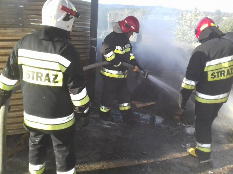 Pożar w zakładzie drzewnym [ZDJĘCIA]